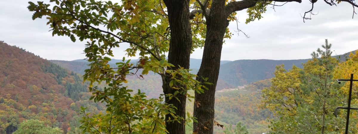 Herbstwanderung