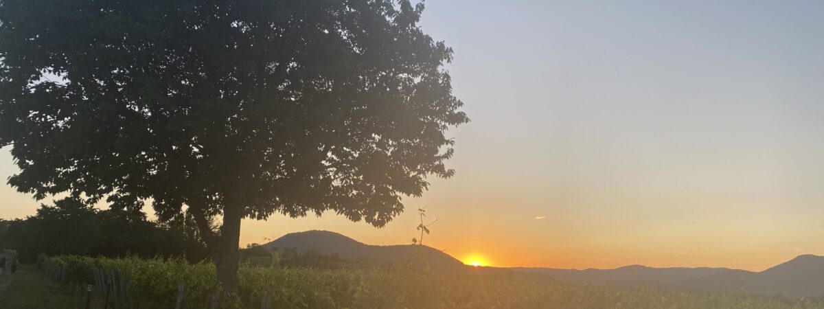 Mittsommernachtswanderung