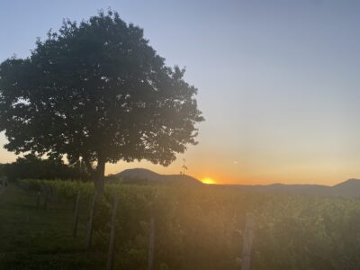 Mittsommernachtswanderung